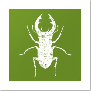 Stag beetle grunge Posters and Art